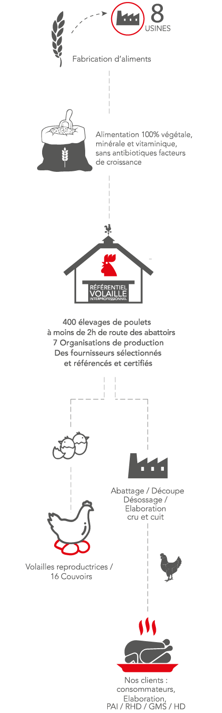 svg-scheme