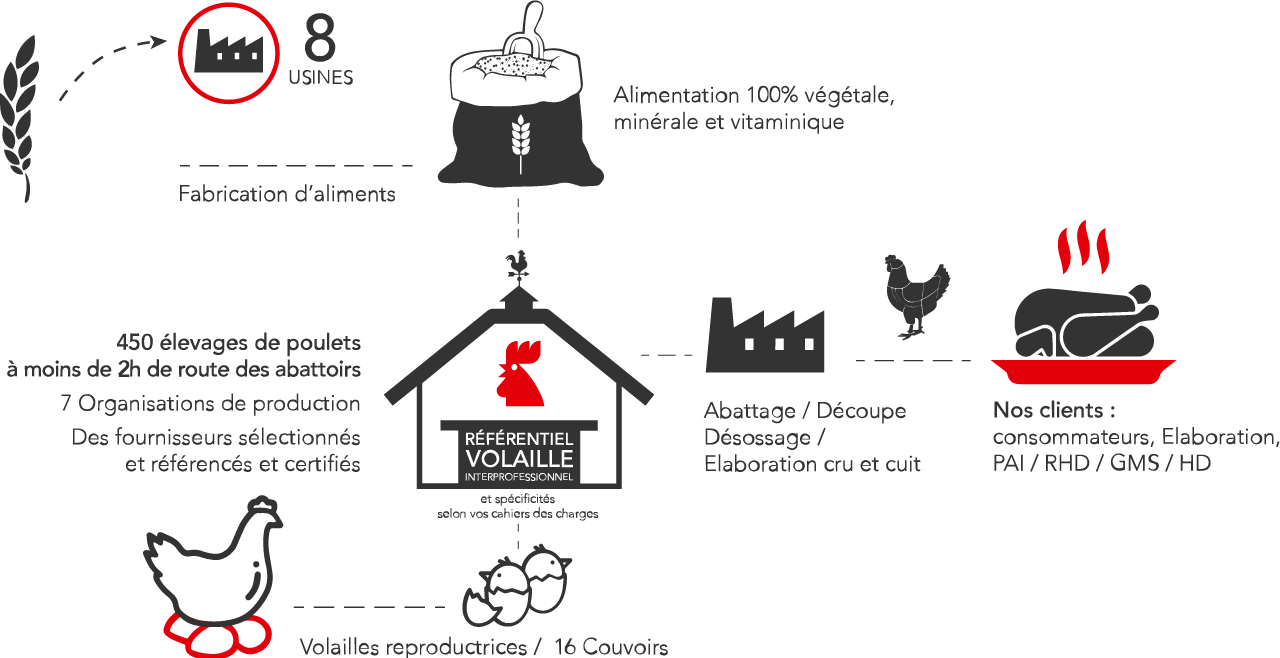 svg-scheme